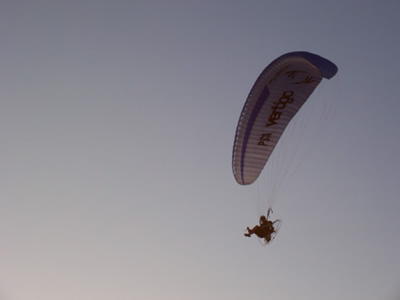 Paraglider