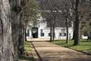 Groot Constantia Cape Town