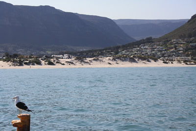 Hout Bay Harbour Cape Town
