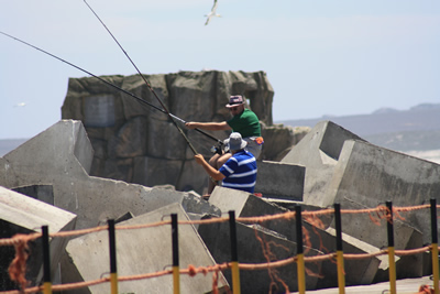 Lamberts Bay Fishing