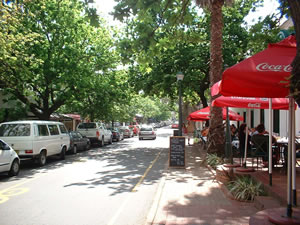 Stellenbosch Photo