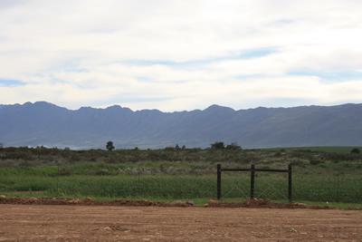 Tulbagh Farms